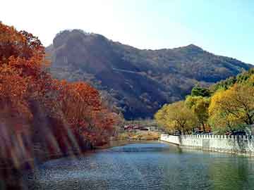 新澳天天开奖资料大全旅游团，男大当嫁